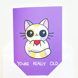 'You're Really Old' Cat Card