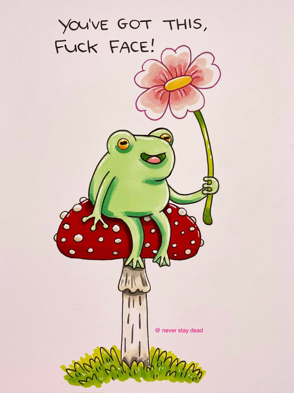 Mini Original ‘Frog Sat On A Shroom With A Flower’ Drawing (A5)