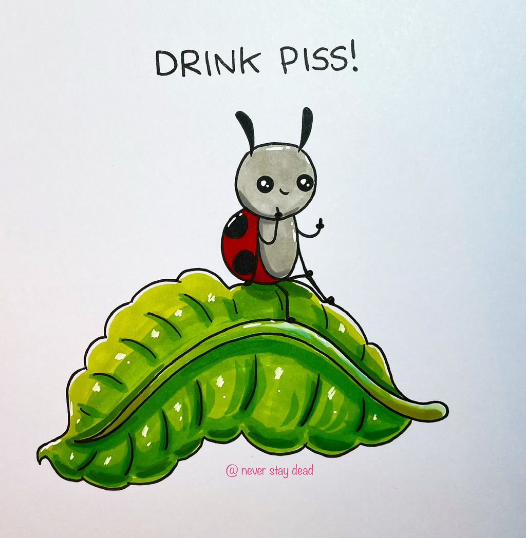 Mini Original ‘Ladybug Sat On A Leaf’ Doodle (A5)