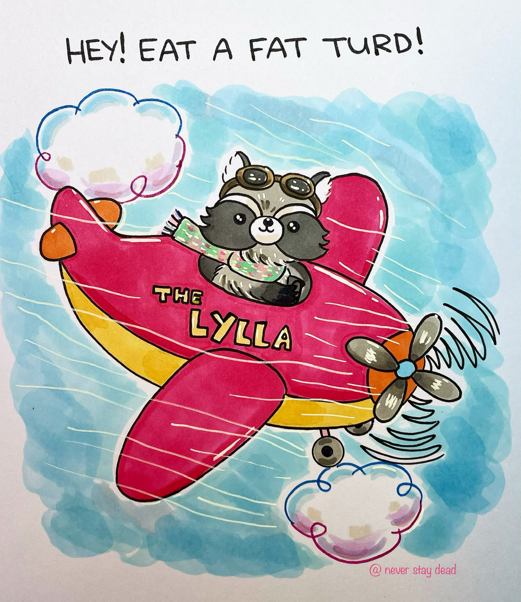 Mini Original ‘Pilot Raccoon’ Drawing (A5)